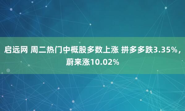 启远网 周二热门中概股多数上涨 拼多多跌3.35%，蔚来涨10.02%