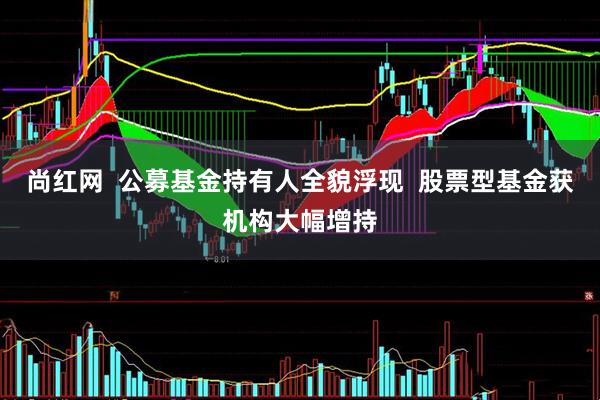 尚红网  公募基金持有人全貌浮现  股票型基金获机构大幅增持