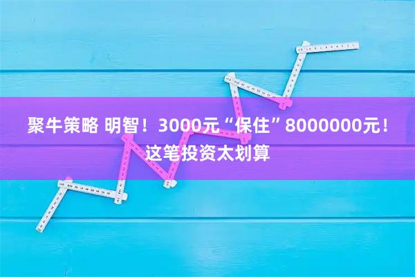 聚牛策略 明智！3000元“保住”8000000元！这笔投资太划算