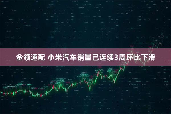 金领速配 小米汽车销量已连续3周环比下滑